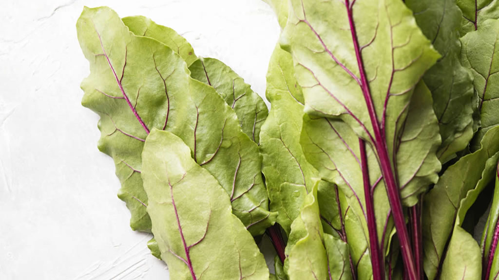 Salada de Acelga